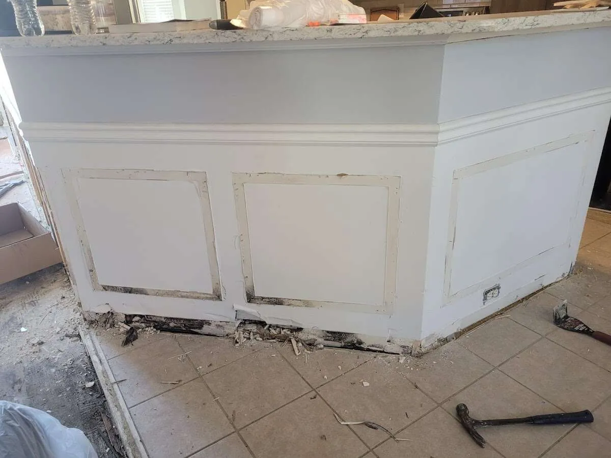 Water damage and mold on kitchen during Sewage Cleanup & Sanitation in Southeast